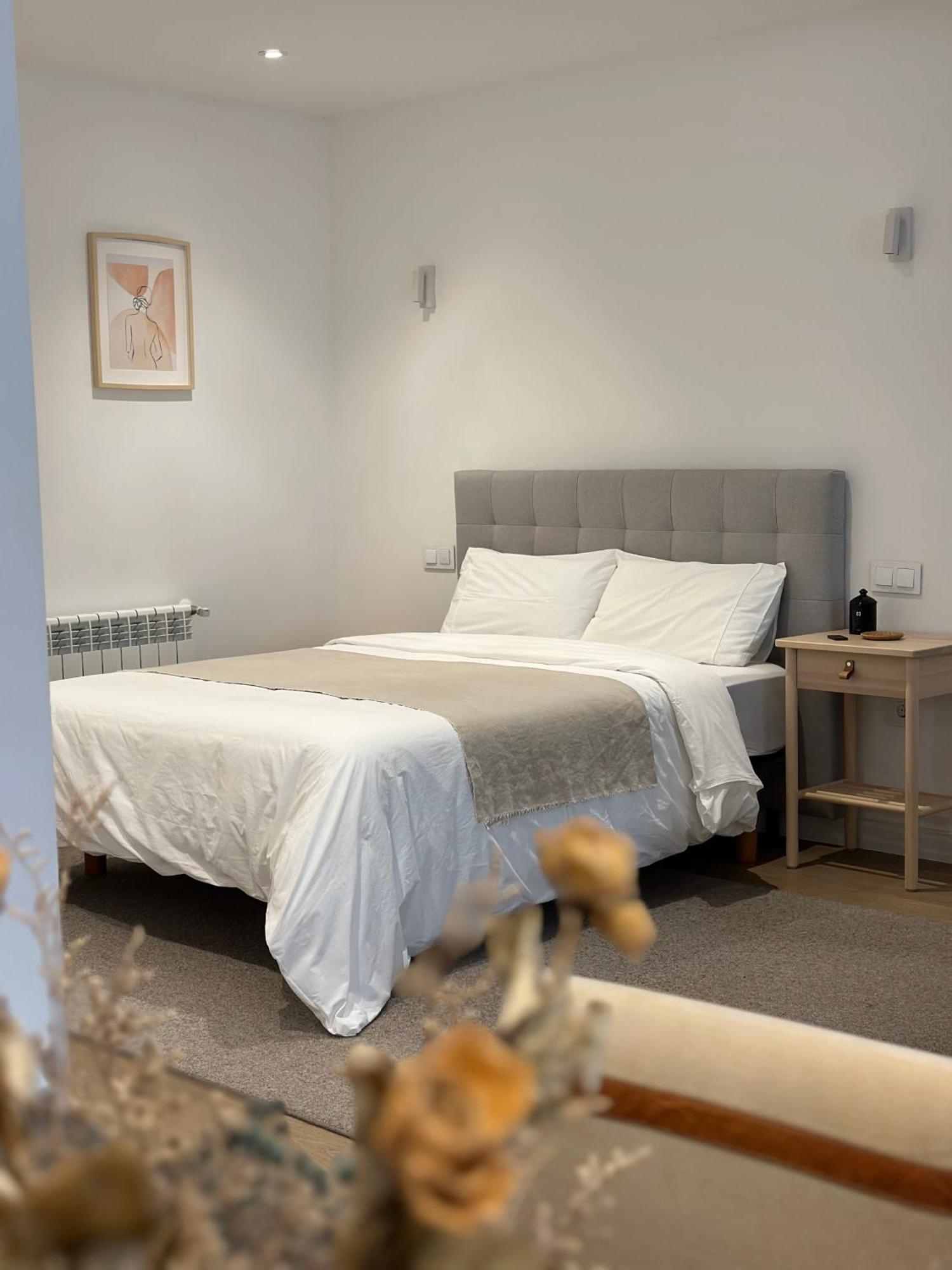 Corunaflat Apartamentos Con Encanto En El Centro De آكورونيا المظهر الخارجي الصورة