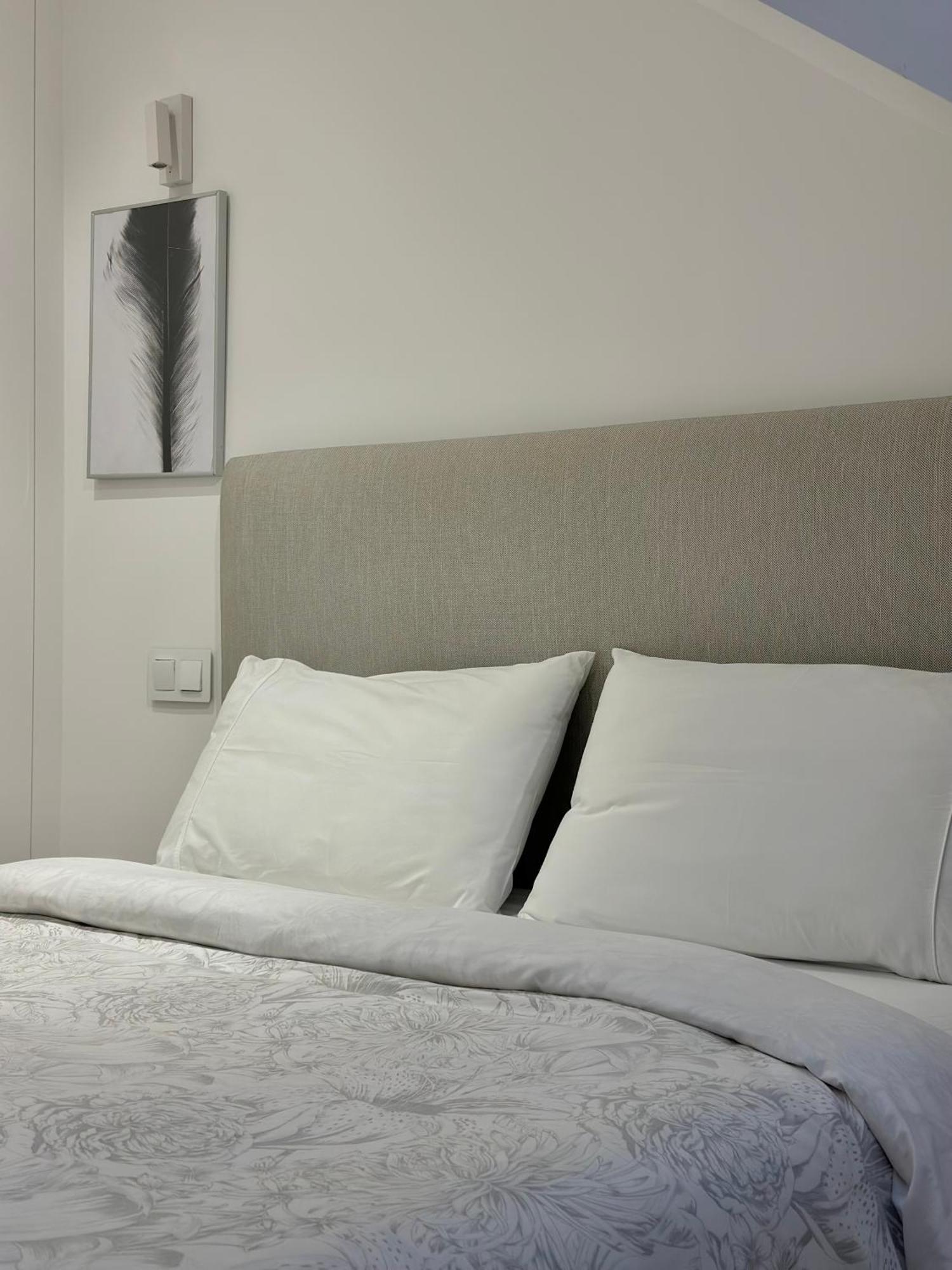 Corunaflat Apartamentos Con Encanto En El Centro De آكورونيا المظهر الخارجي الصورة